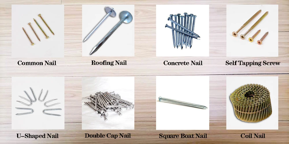 Galvanized Steel Wire/Screw Bolt &amp; Nut /Q195/0.8-4.0 Inch/Concrete/Nails