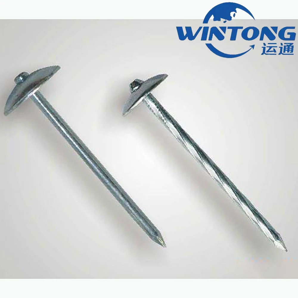 Galvanized Steel Wire/Screw Bolt &amp; Nut /Q195/0.8-4.0 Inch/Concrete/Nails