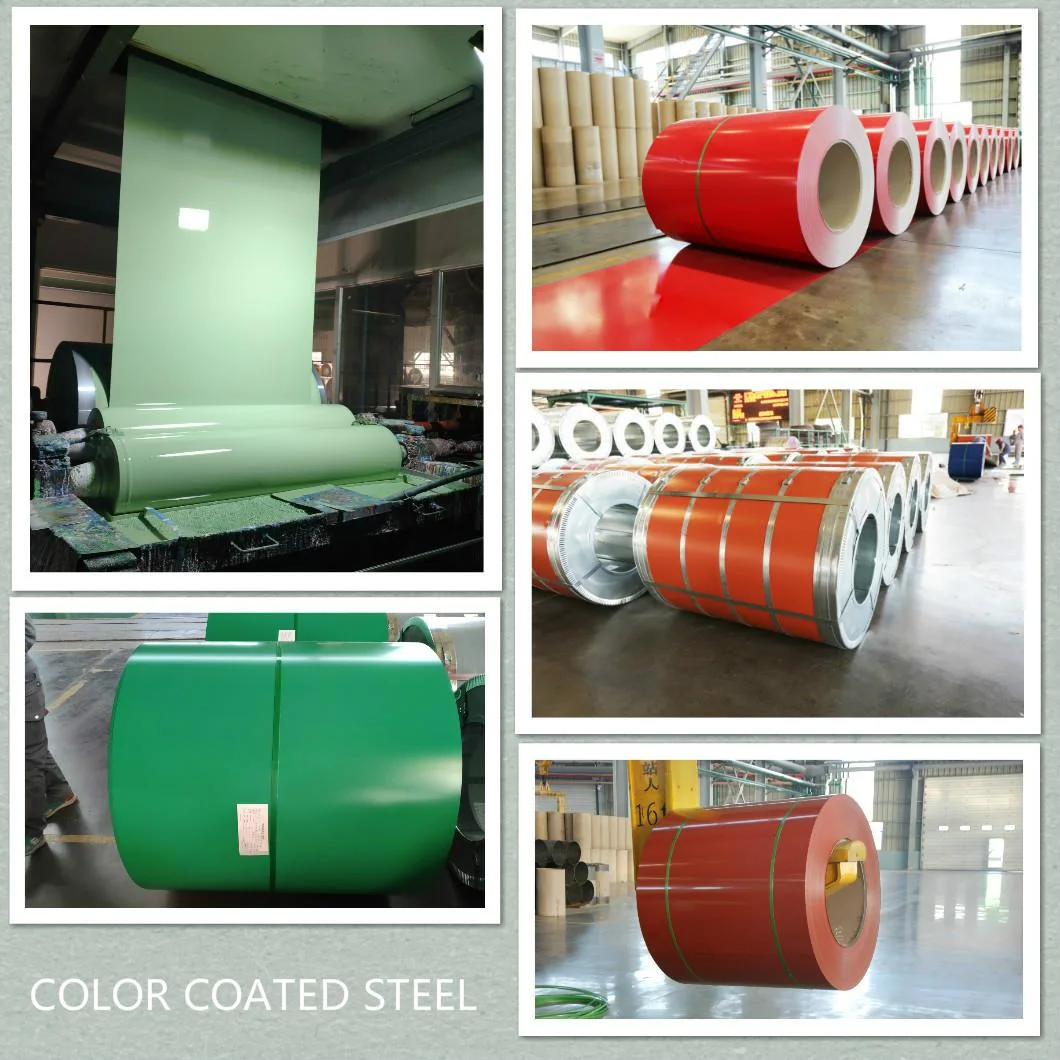 ASTM/0.14-1.5*914-1250mm/Z30-275/SGCC/PPGI/PPGL/Dx51d/Gi/Gl/Ral Colour/Prepainted/Color Coated/Galvanized/Zinc Coated/Galvalume/Steel Coil/Roof/Roofing Sheet